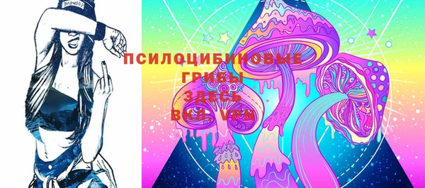 a pvp Алексин