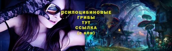 a pvp Алексин