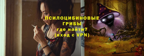 a pvp Алексин